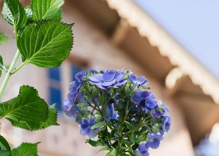 Ca Meison 4* Cannobio